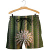 3D All Over Printed Brown Hugs Cactus Shirts