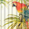 Awesome hoodies - Parrot Curtains - QK3202