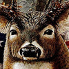 Awesome hoodies - Deer Curtains - QK3203