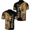 3D All Over King Lion Hoodies for Men and Women, T-Shirt, Zip Hoodies, Sweatshirt DTK004