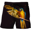 3D All Over Print Parrot L154000 Hoodie