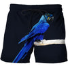3D All Over Print Blue Parot Hoodie