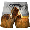 3D All Over Printing Horse Darraweit Guim Shirts