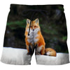 3D All Over Printed Fox Art Shirts and Shorts