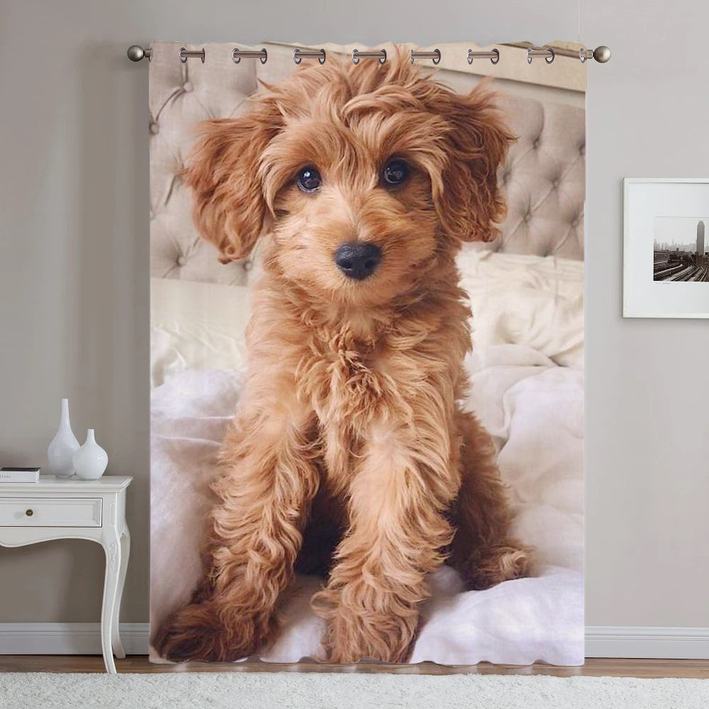 Awesome hoodied Poodle Printed 3D Grommet Window Curtains - HB0002