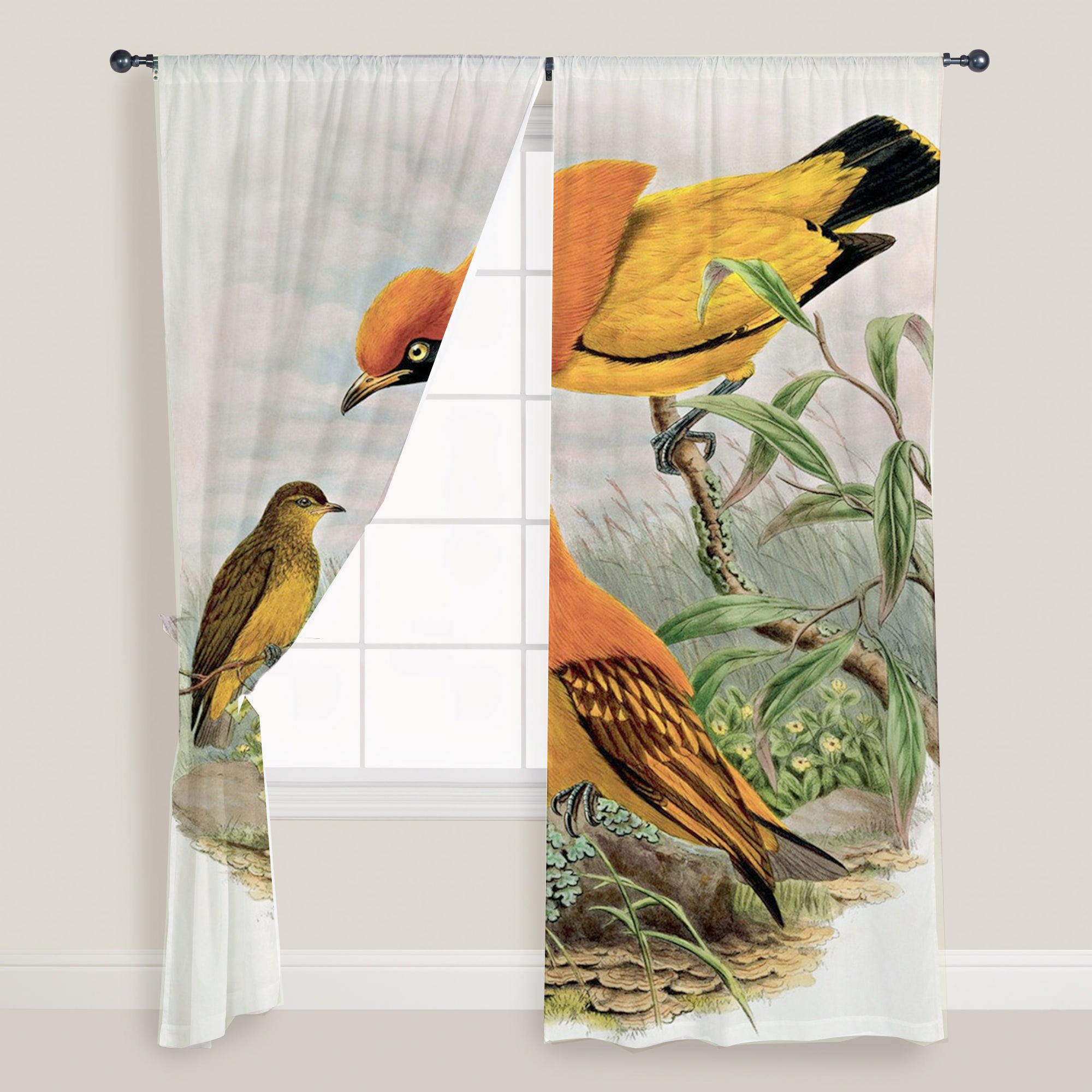 Awesome hoodied Birds Printed 3D Grommet Window Curtains - HB00021