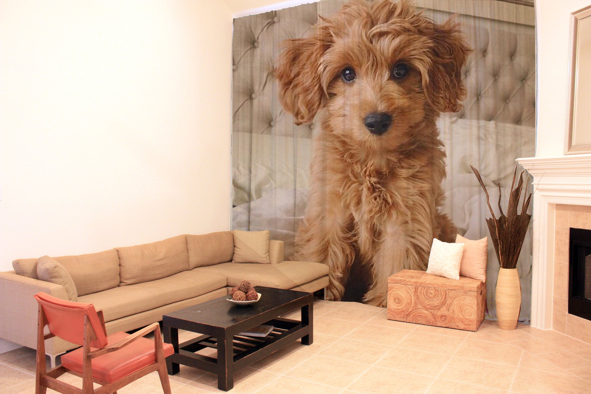 Awesome hoodied Poodle Printed 3D Grommet Window Curtains - HB0002
