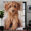 Awesome hoodied Poodle Printed 3D Grommet Window Curtains - HB0002