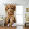 Awesome hoodied Poodle Printed 3D Grommet Window Curtains - HB0002
