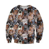 3D All Over Printed Cat Shirts And Shorts
