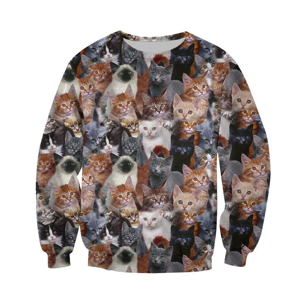 3D All Over Printed Cat Shirts And Shorts