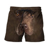 3D All Over Print Chocolate Labrador Face