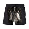 3D All Over Print Boston Terrier Face