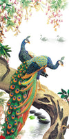 Awesome hoodied 3D Curtains peacock - VNC0002