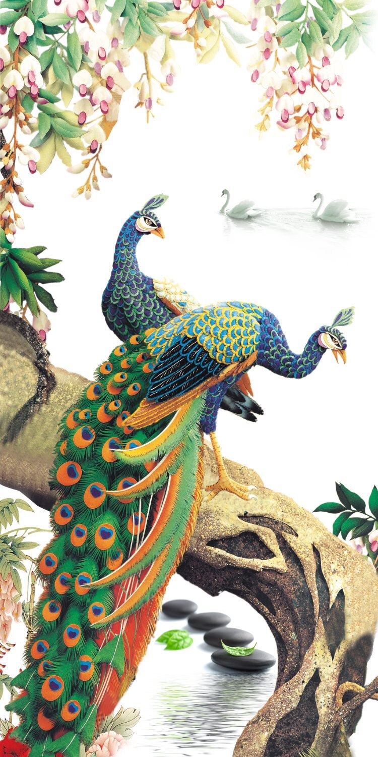 Awesome hoodied 3D Curtains peacock - VNC0002