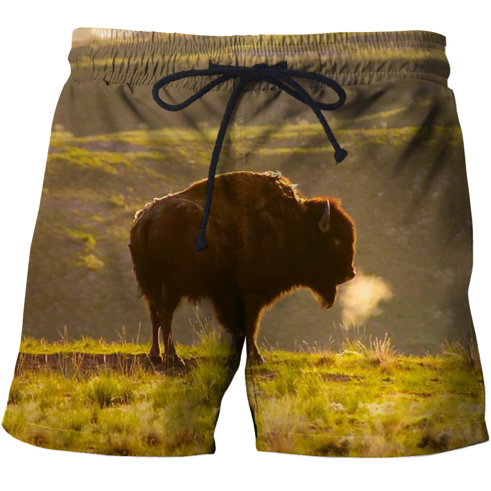 3D All Over Print Toro Hill