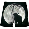 3D All Over Print Bull Bull Moon