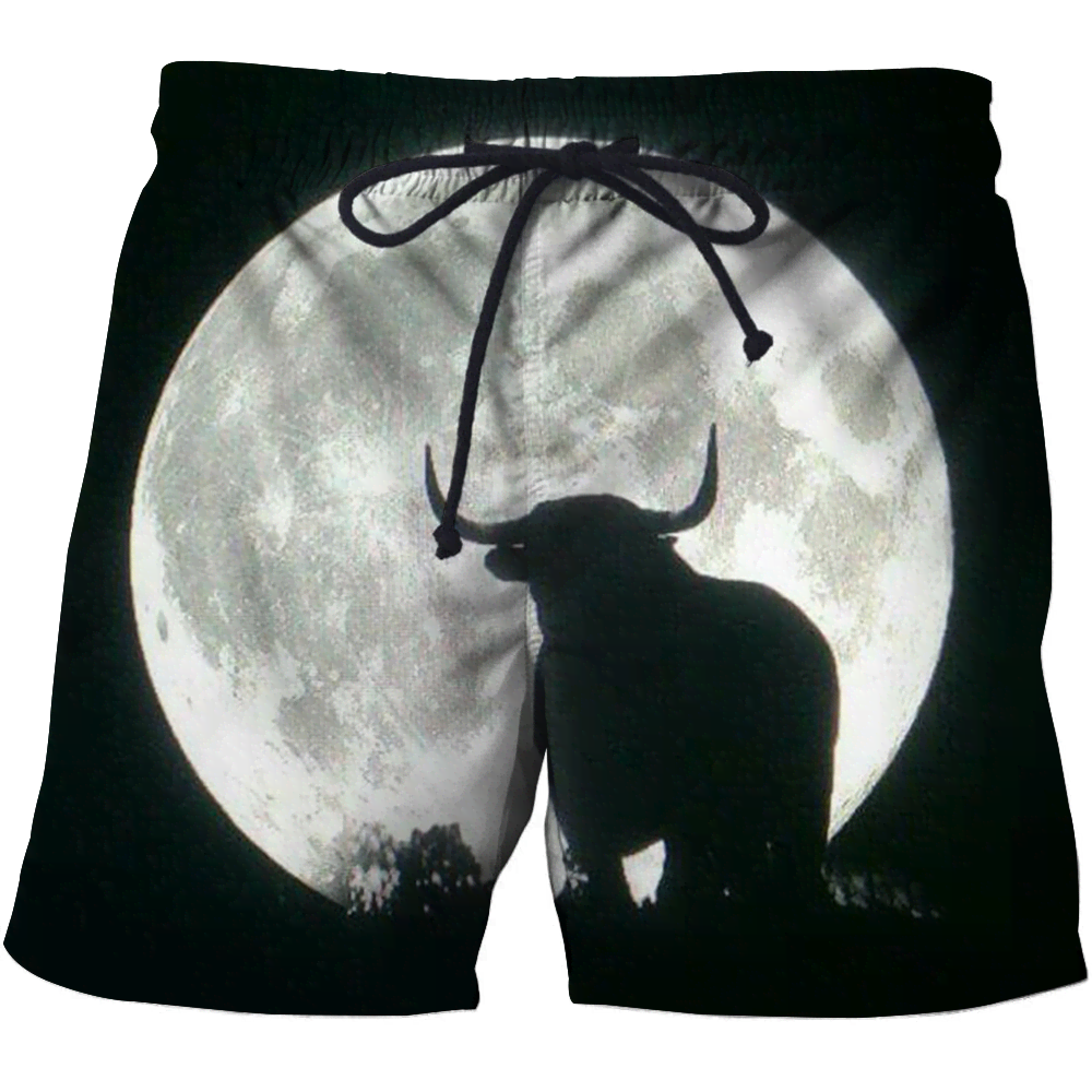 3D All Over Print Bull Bull Moon