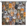 Awesome hoodied Cuteness Overload - Shower Curtain Printed 3D Grommet Curtains - NQC0013