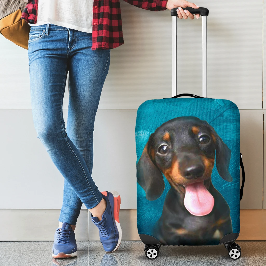 Awesome Hoodied Dachshund Luggage Cover For Everyone KHD