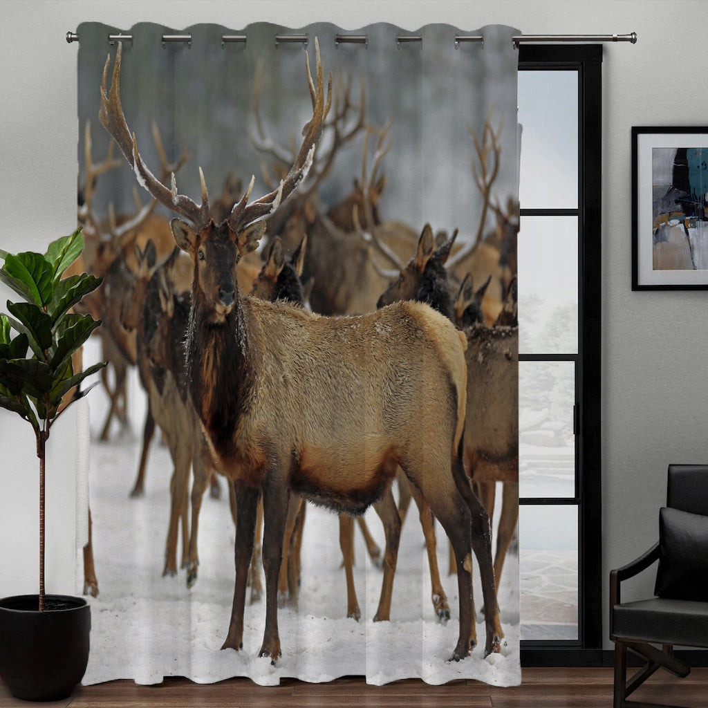 Awesome hoodied 3D all print Hunting ELK Curtains  skull - VNC0030
