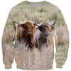 All Over Printed Highland Cattle Beautiful  And Shorts